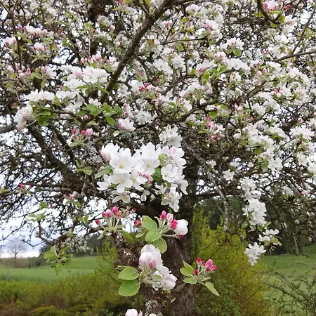 Maison Au Coeur De La Nature *